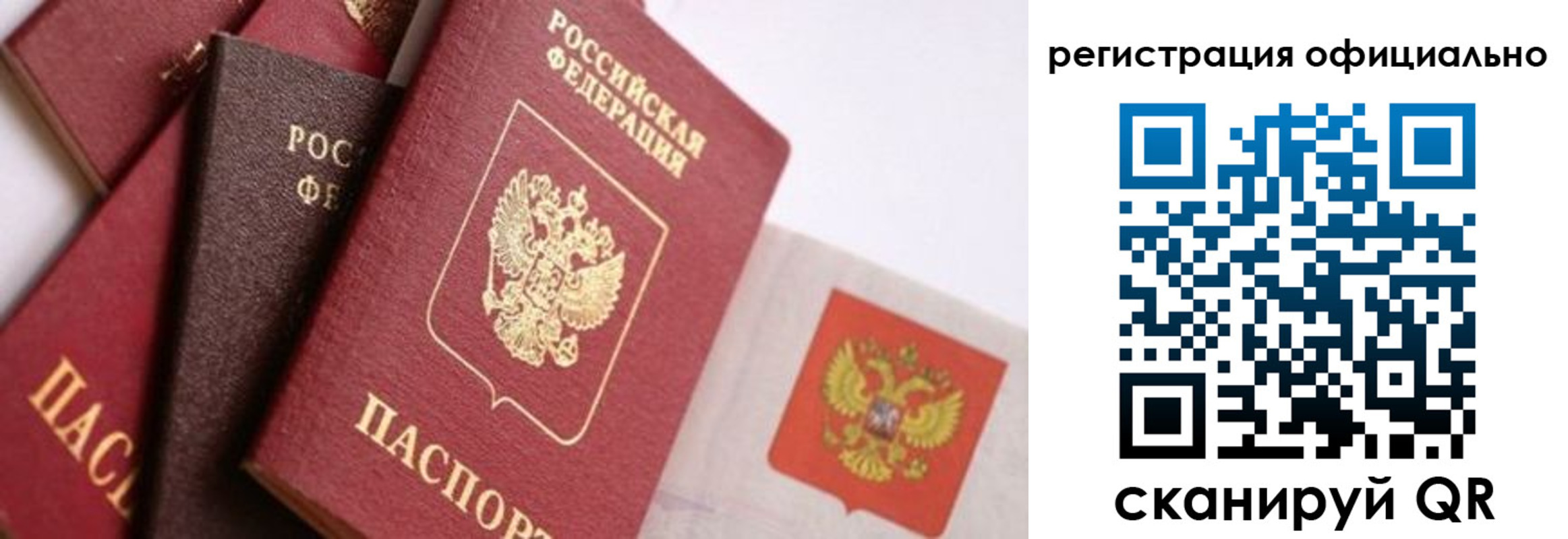 прописка гарантия в Черногорске